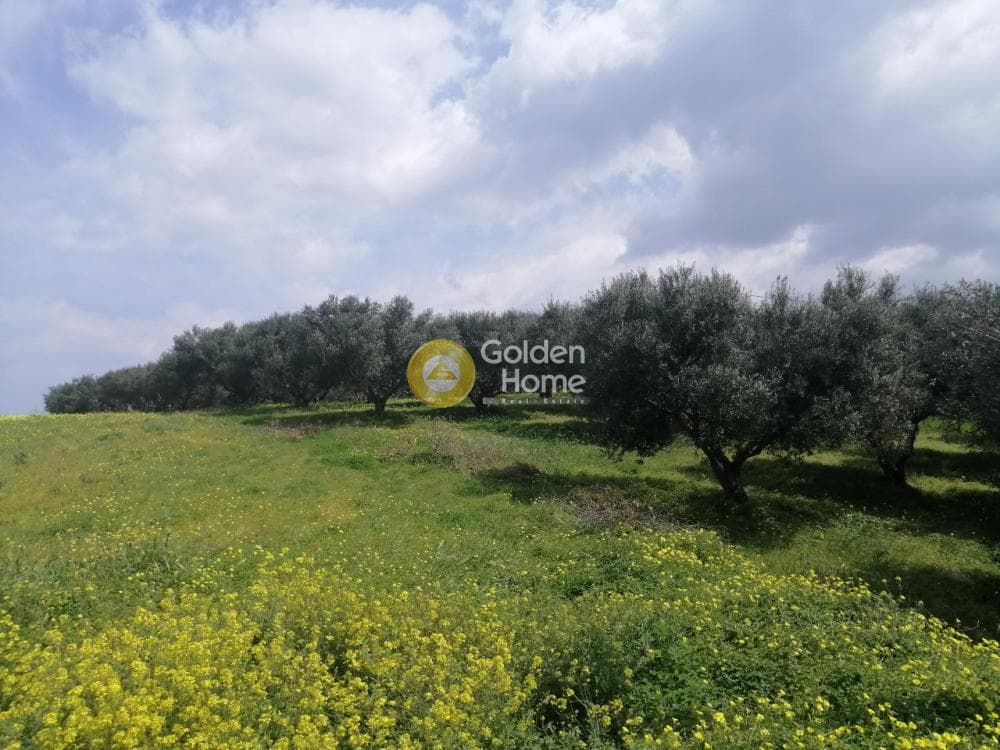Parcel in Gournes, Temenos — Photo 4 of 25