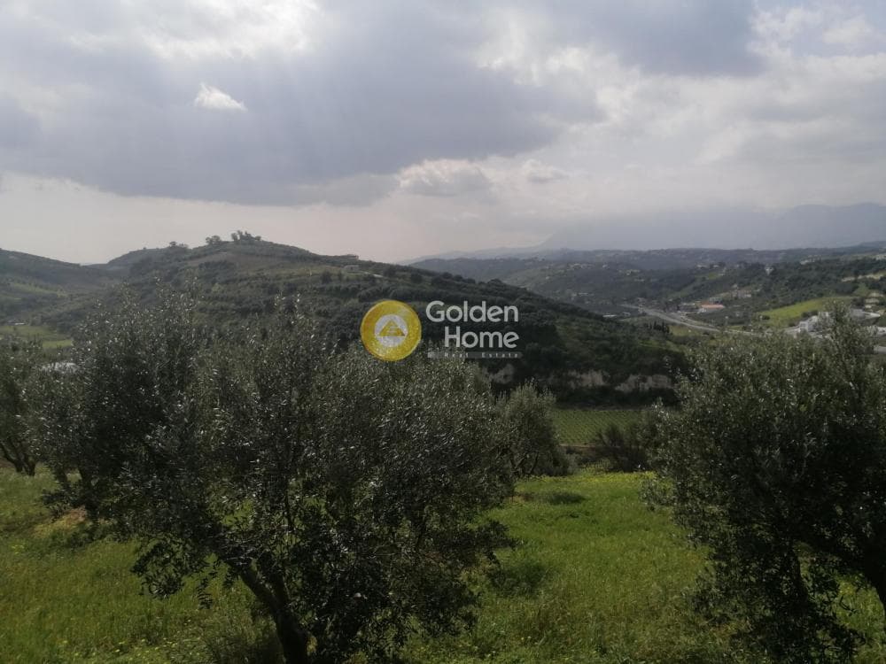Parcel in Gournes, Temenos — Photo 14 of 25