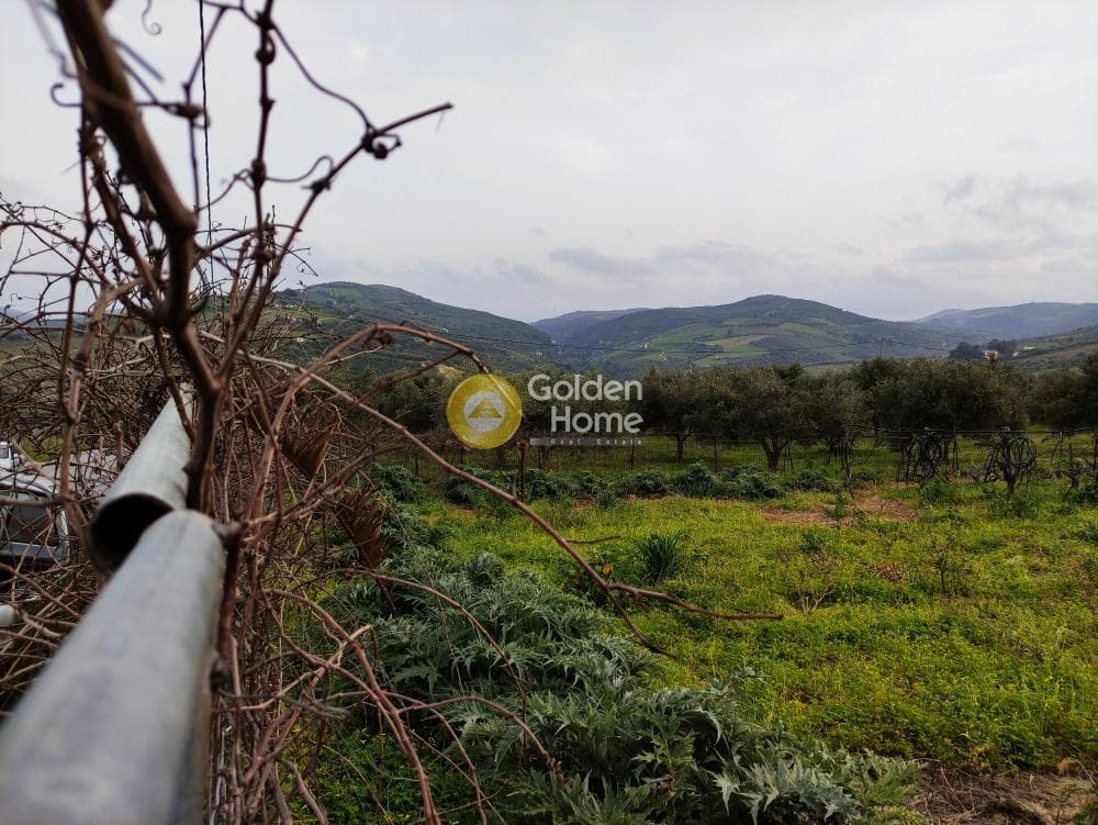 Building Plot in Skalani, Episkopi — Photo 3 of 5