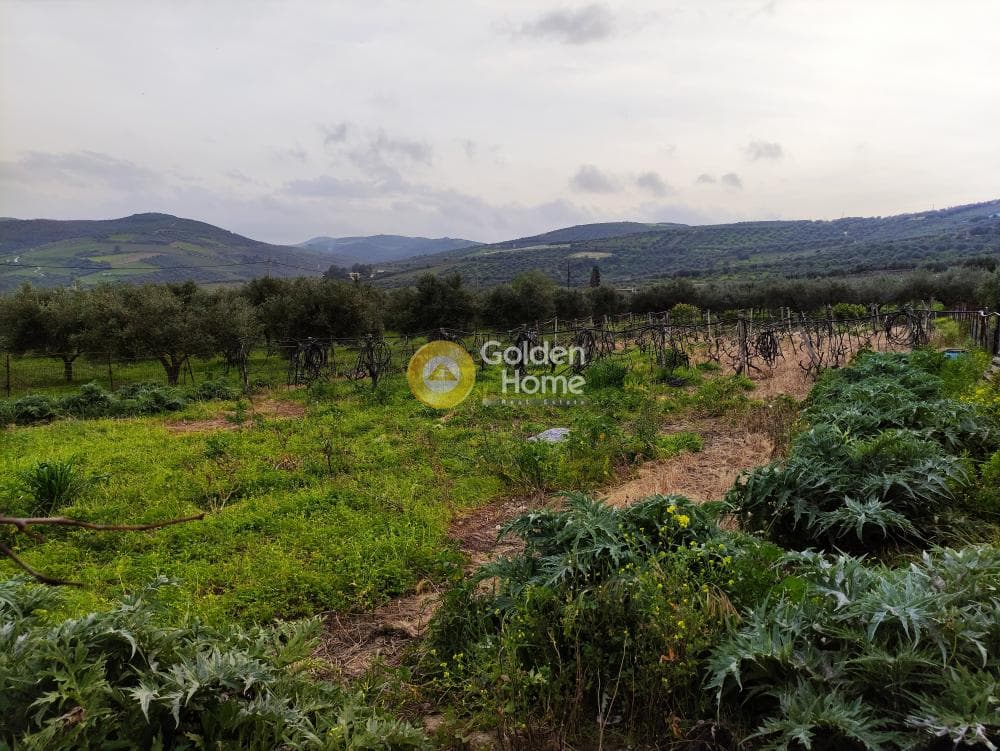 Building Plot in Skalani, Episkopi — Photo 2 of 5