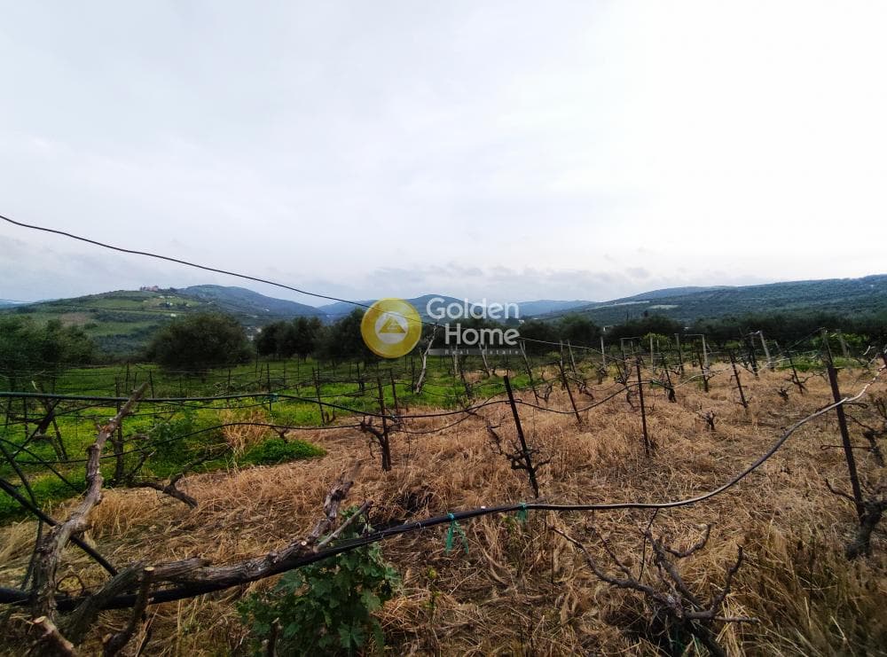 Building Plot in Skalani, Episkopi — Photo 4 of 5