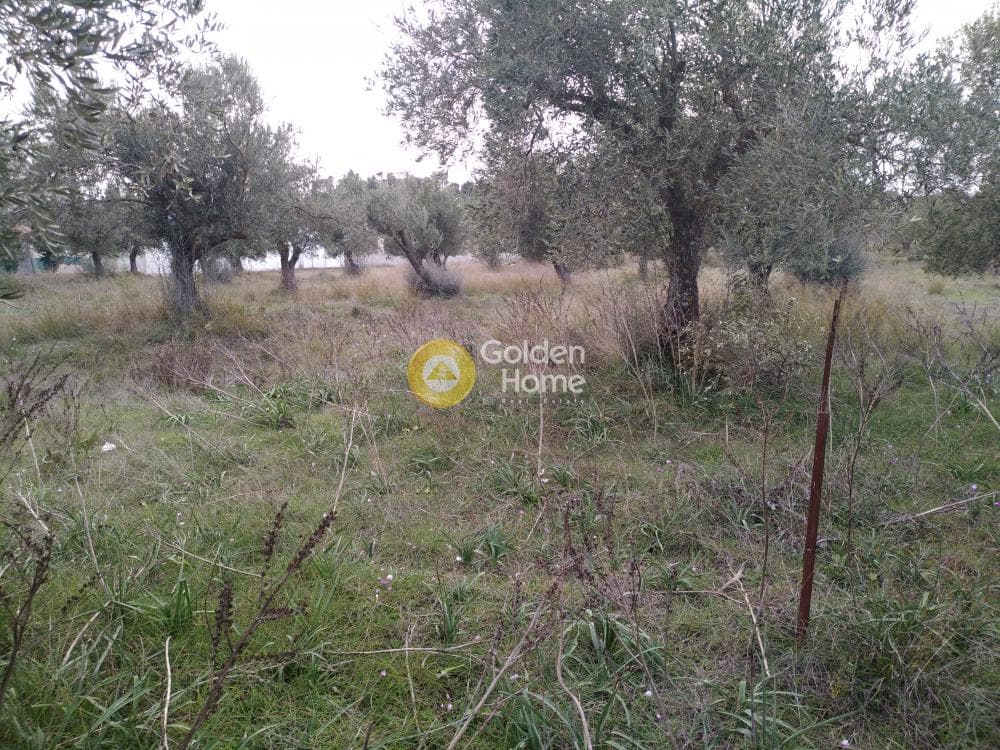 Parcel in Neapoli, Spata — Photo 3 of 10