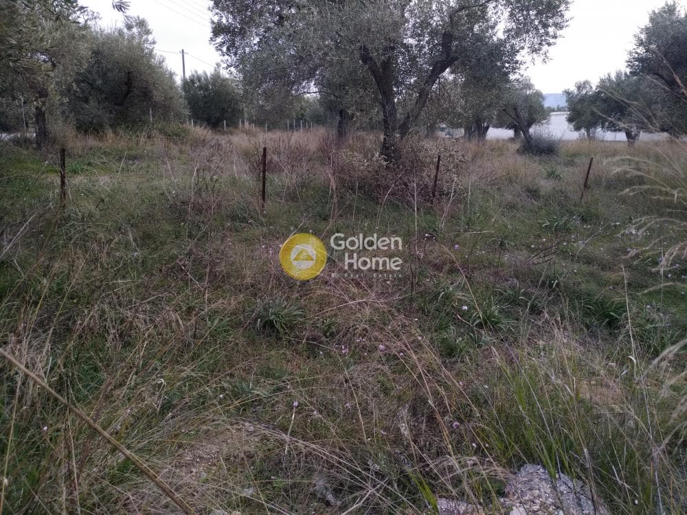 Parcel in Neapoli, Spata — Photo 4 of 10