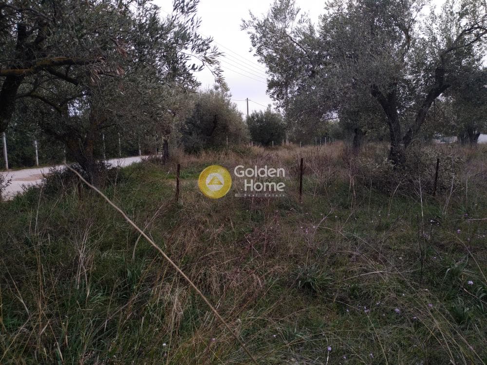 Parcel in Neapoli, Spata — Photo 5 of 10