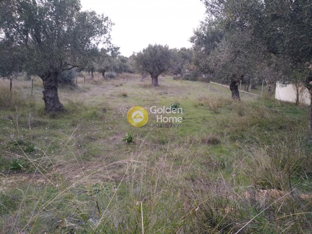 Parcel in Neapoli, Spata — Photo 6 of 10