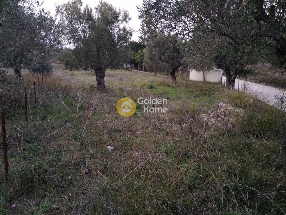Parcel in Neapoli, Spata — Photo 7 of 10