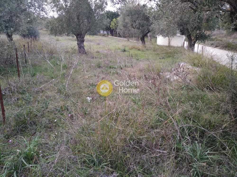 Parcel in Neapoli, Spata — Photo 8 of 10