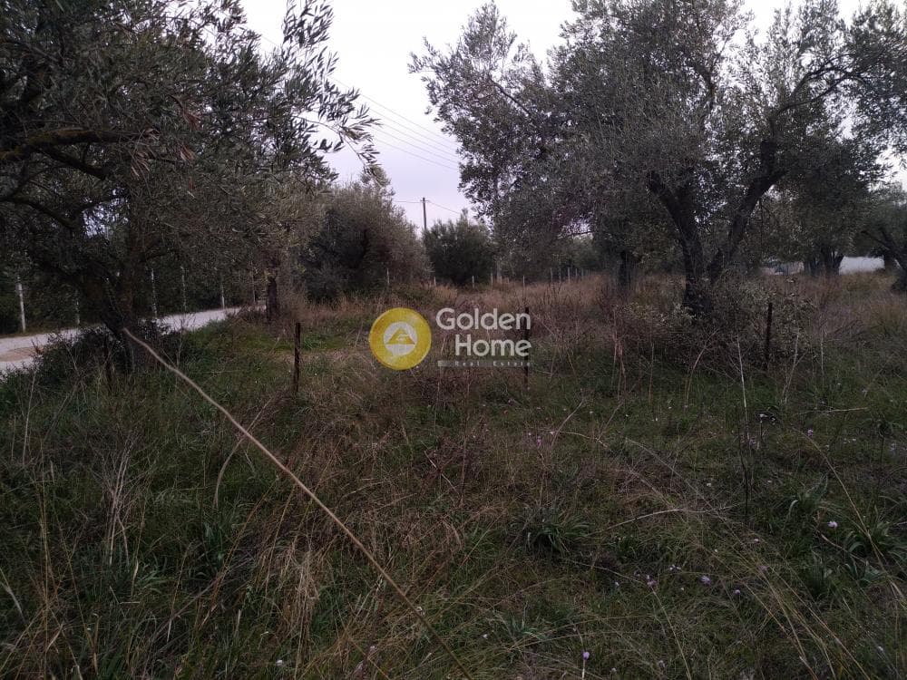 Parcel in Neapoli, Spata — Photo 9 of 10