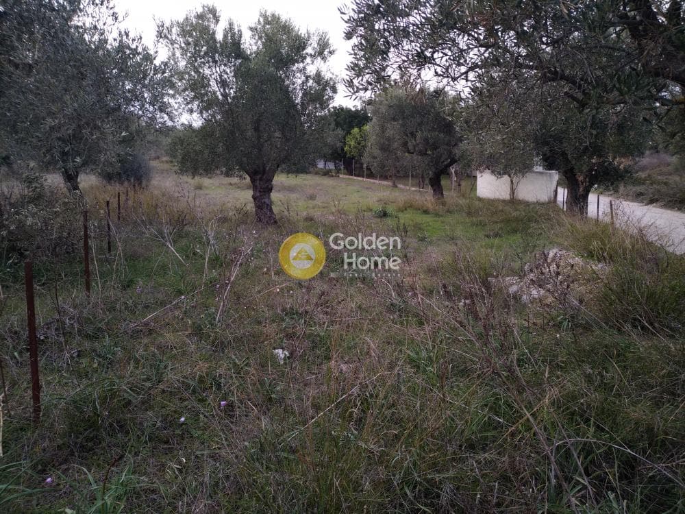 Parcel in Neapoli, Spata — Photo 10 of 10