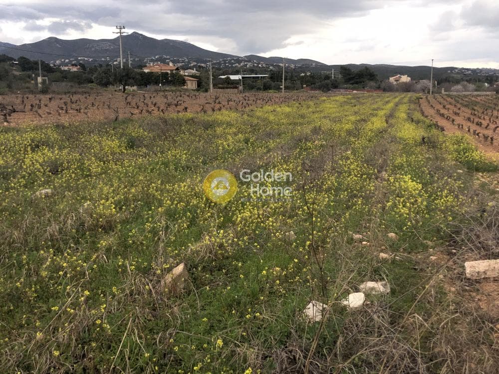 Parcel in Ano Vakalopoulo, Pikermi — Photo 1 of 6