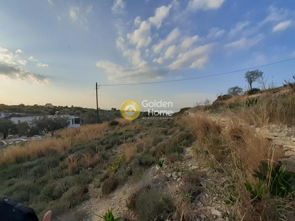 Parcel in Vigla, Aegina — Photo 1 of 6