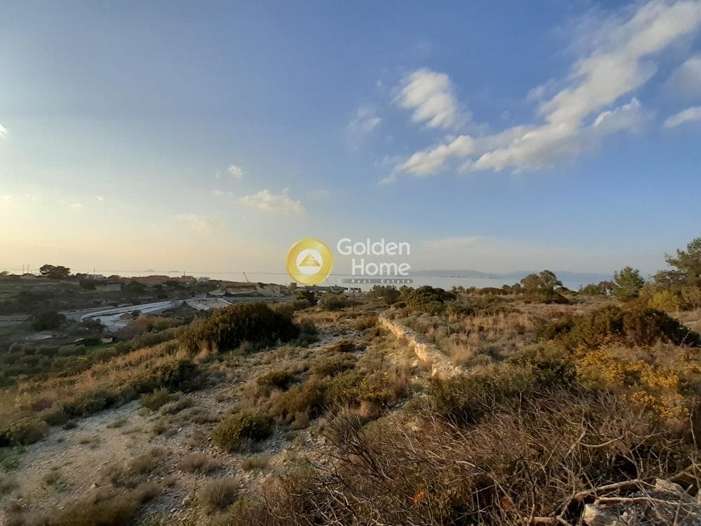 Parcel in Vigla, Aegina — Photo 3 of 6