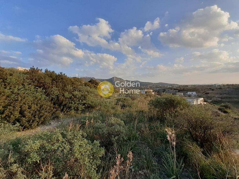 Parcel in Vigla, Aegina — Photo 4 of 6