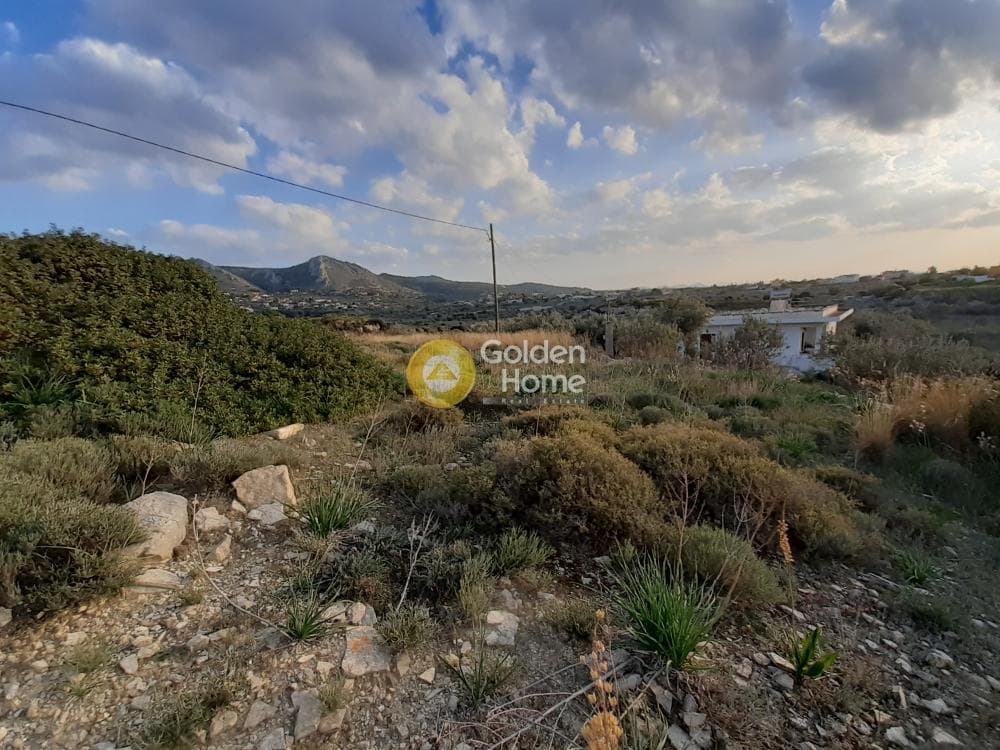 Parcel in Vigla, Aegina — Photo 6 of 6