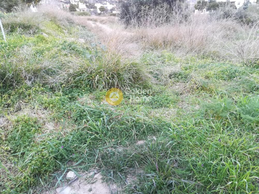 Οικόπεδο στην Καλύβια, Καλύβια Θορικού — Φωτογραφία 3 από 3