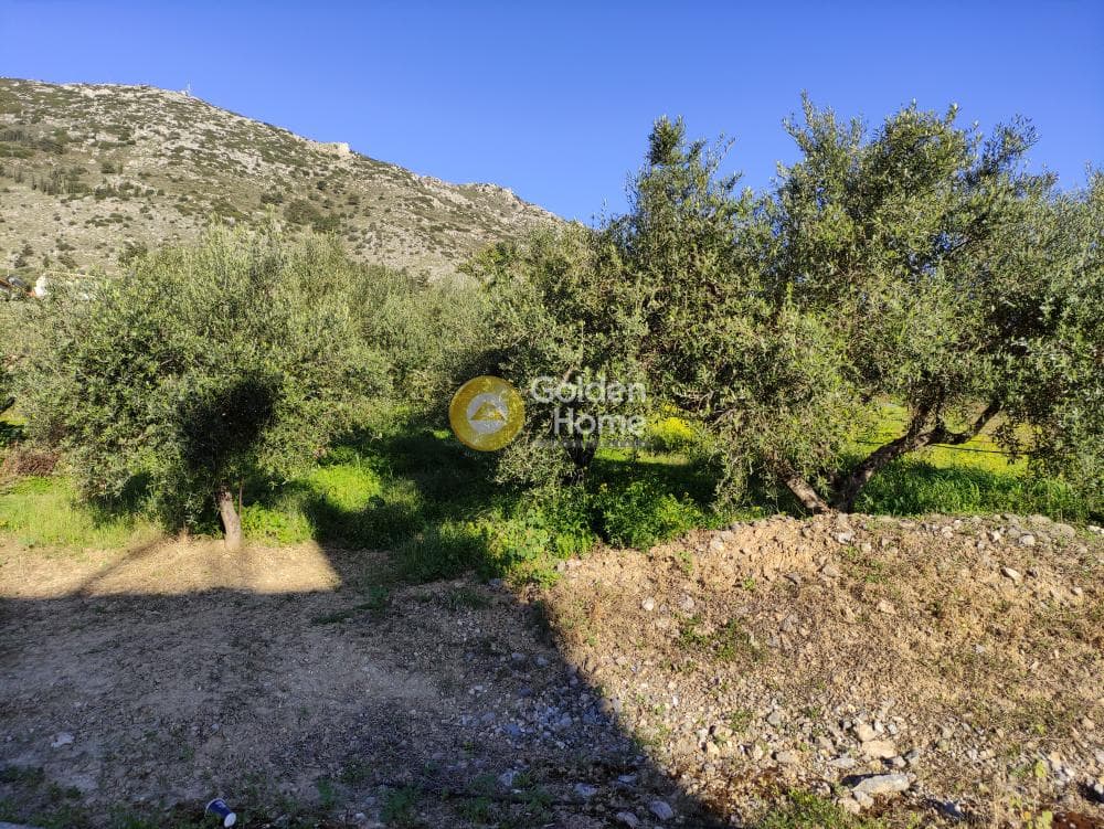 Αγροτεμάχιο στην Επάνω Αρχάνες, Αρχάνες — Φωτογραφία 7 από 12