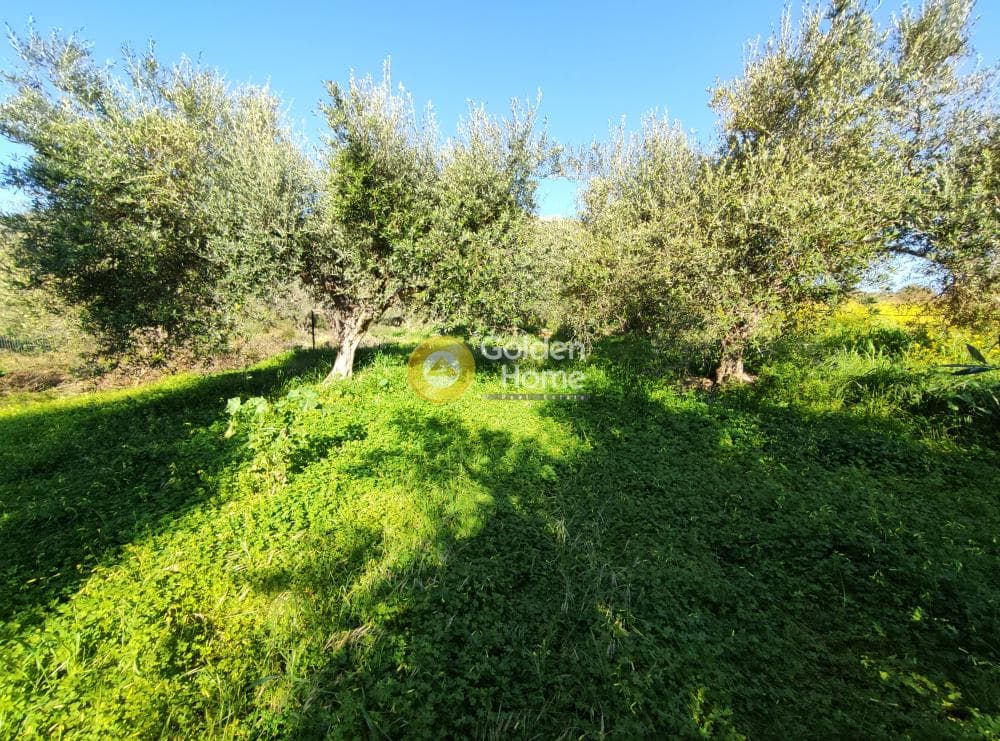 Αγροτεμάχιο στην Επάνω Αρχάνες, Αρχάνες — Φωτογραφία 8 από 12