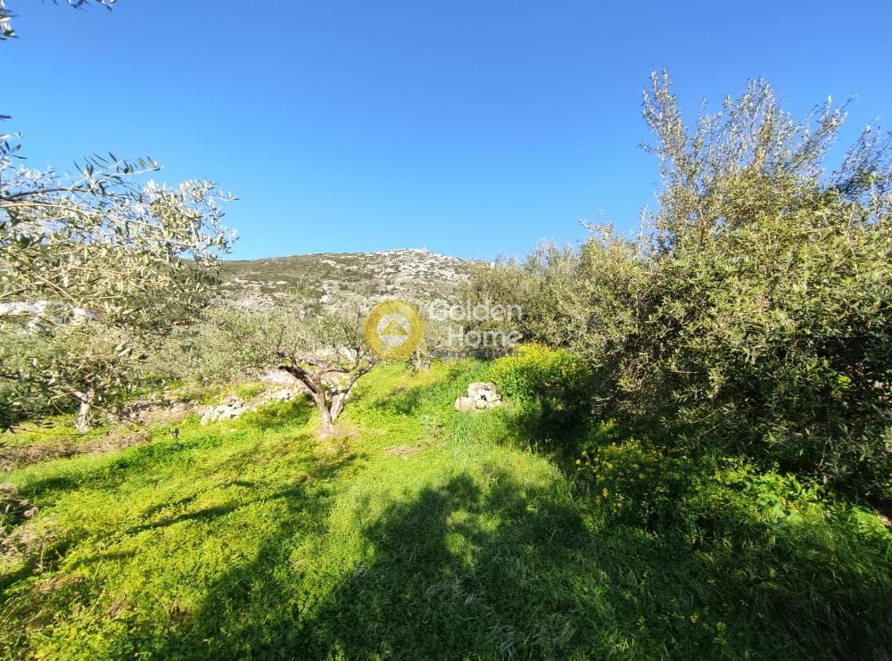 Αγροτεμάχιο στην Επάνω Αρχάνες, Αρχάνες — Φωτογραφία 3 από 12