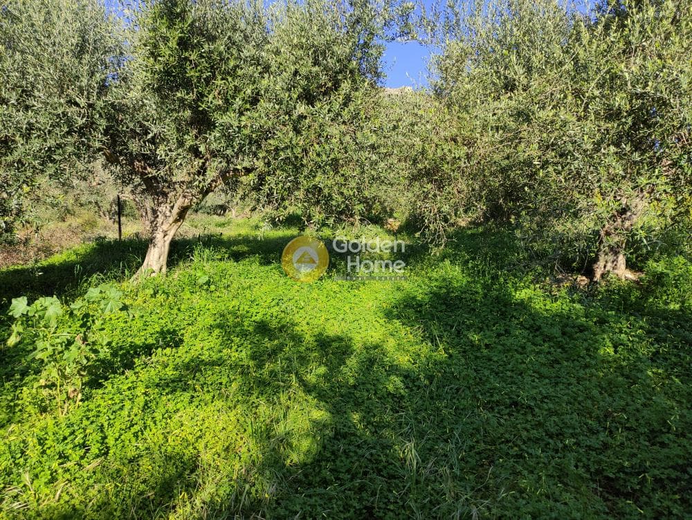 Αγροτεμάχιο στην Επάνω Αρχάνες, Αρχάνες — Φωτογραφία 11 από 12