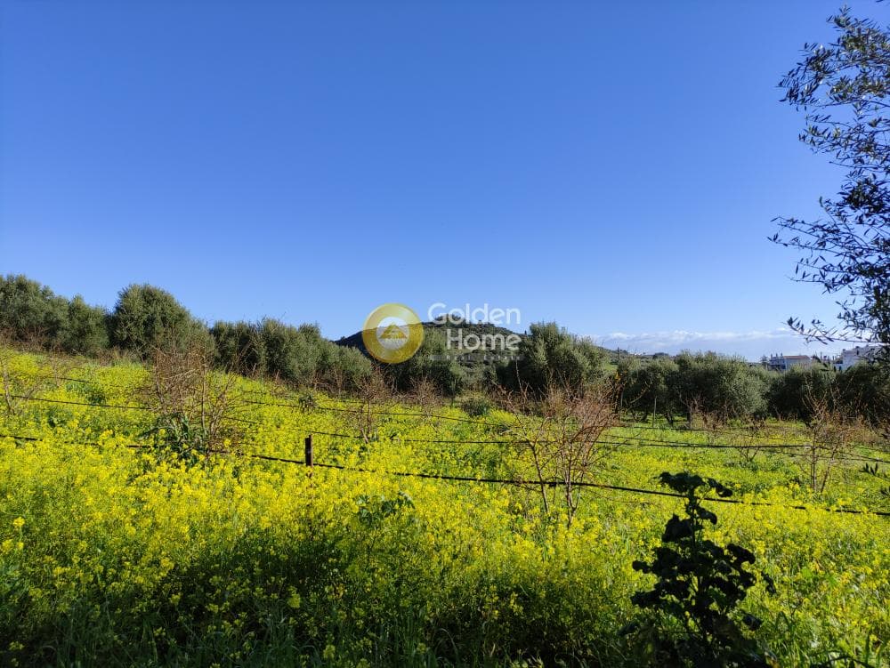 Αγροτεμάχιο στην Επάνω Αρχάνες, Αρχάνες — Φωτογραφία 12 από 12
