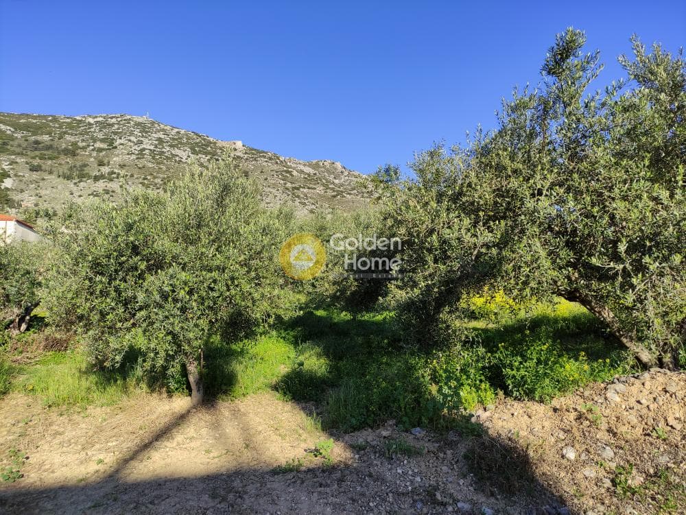 Αγροτεμάχιο στην Επάνω Αρχάνες, Αρχάνες — Φωτογραφία 4 από 12
