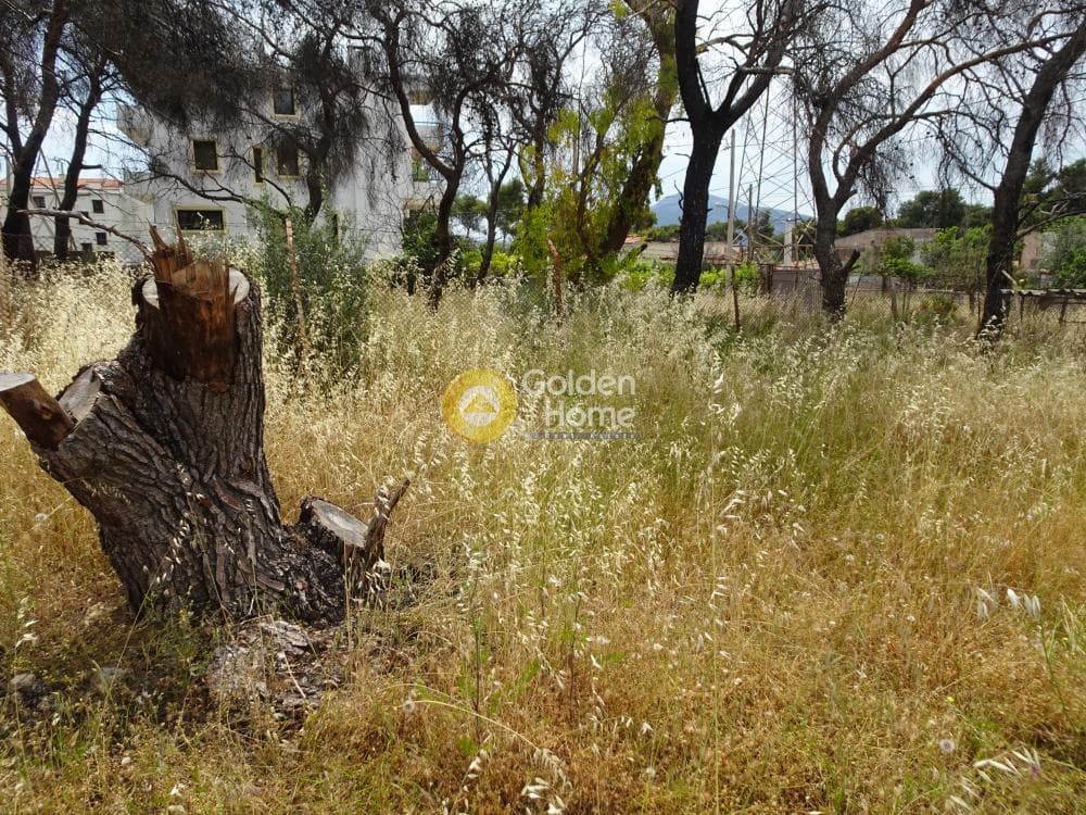 Οικόπεδο στην Μεγάλα Σχοινία Α, Αχαρνές — Φωτογραφία 2 από 9