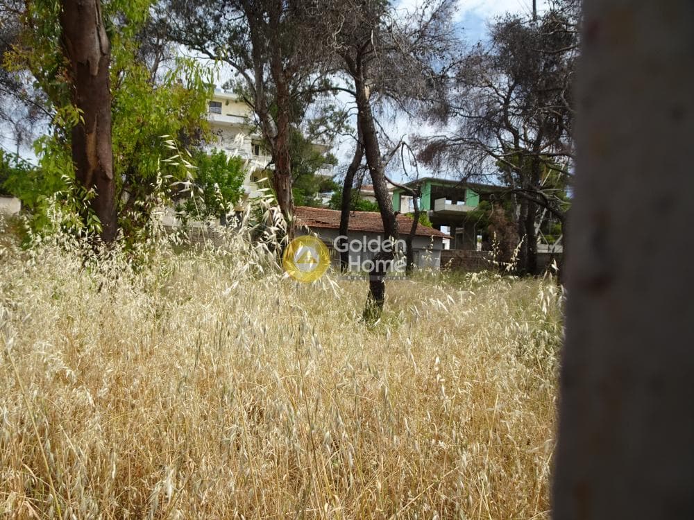 Οικόπεδο στην Μεγάλα Σχοινία Α, Αχαρνές — Φωτογραφία 8 από 9