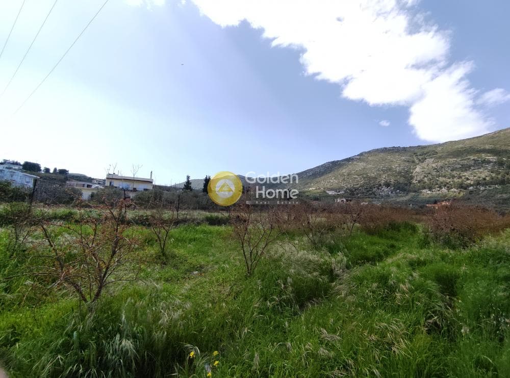 Οικόπεδο στην Επάνω Αρχάνες, Αρχάνες — Φωτογραφία 2 από 5