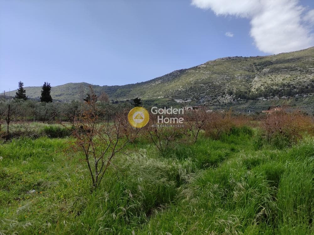 Οικόπεδο στην Επάνω Αρχάνες, Αρχάνες — Φωτογραφία 1 από 5