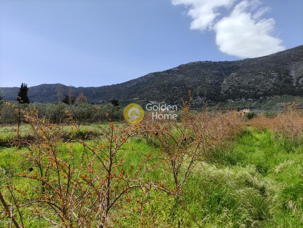Οικόπεδο στην Επάνω Αρχάνες, Αρχάνες — Φωτογραφία 5 από 5