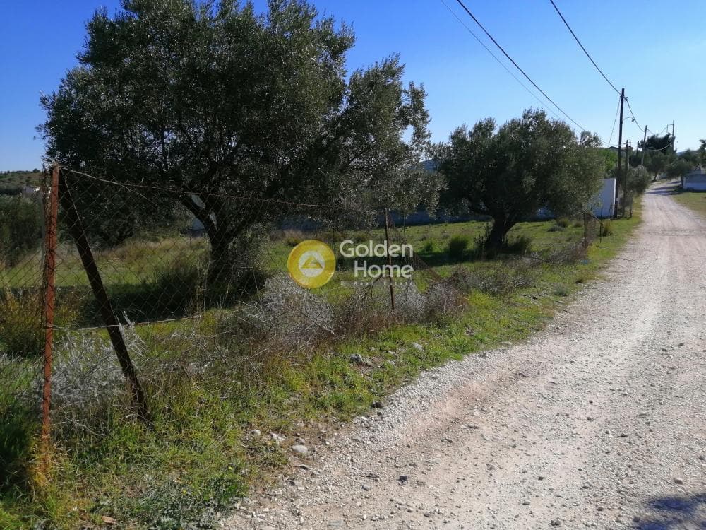 Parcel in Lamprika, Koropi — Photo 1 of 6