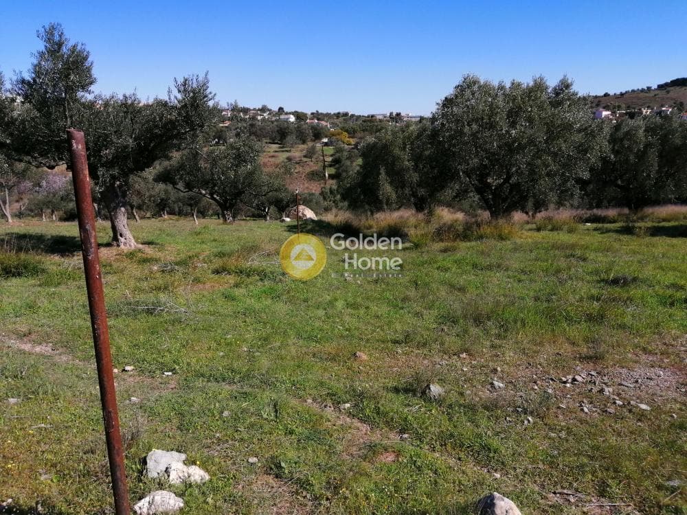 Parcel in Lamprika, Koropi — Photo 2 of 6