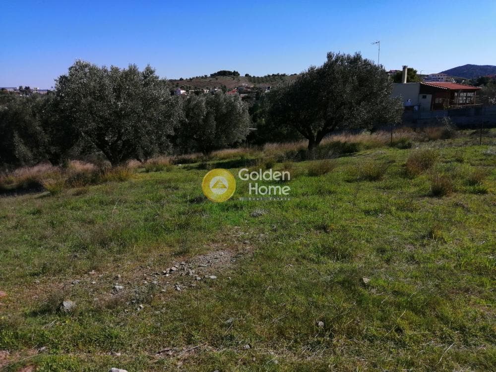 Parcel in Lamprika, Koropi — Photo 4 of 6