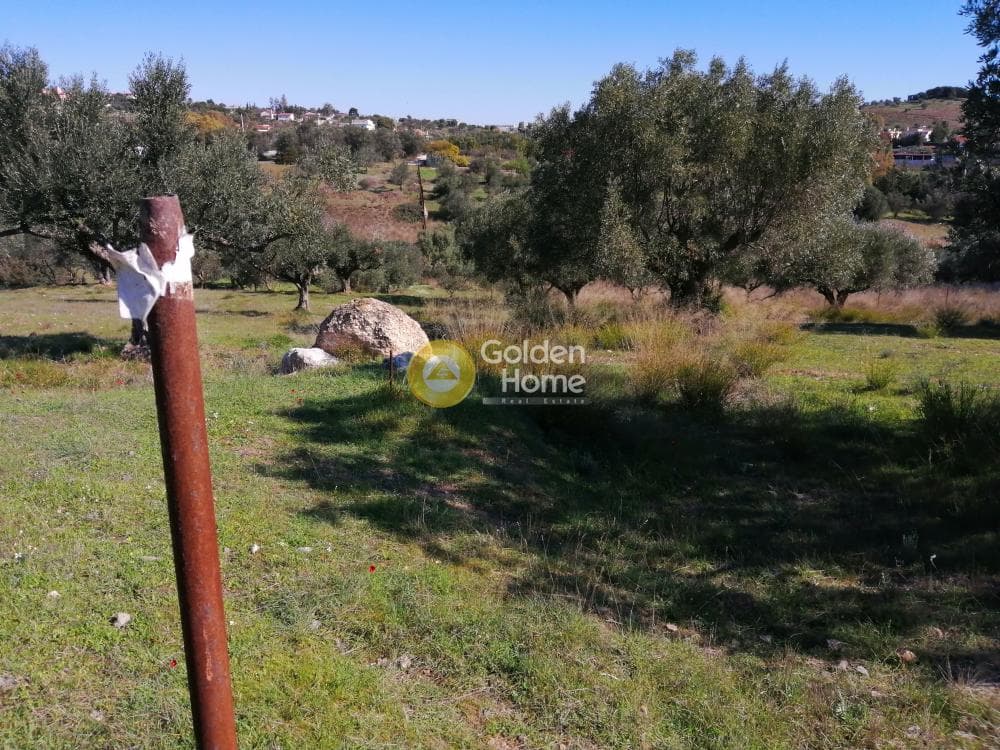 Parcel in Lamprika, Koropi — Photo 3 of 6