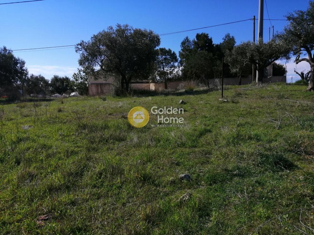Parcel in Lamprika, Koropi — Photo 6 of 6
