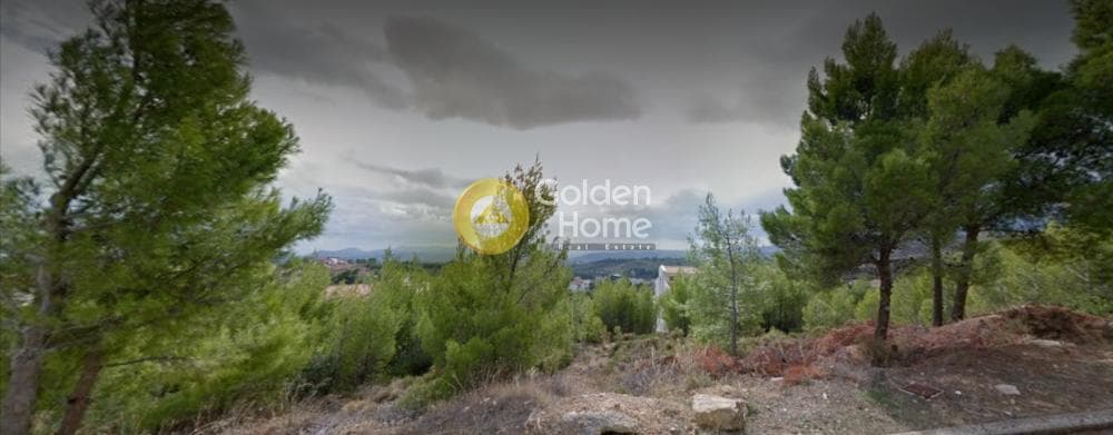 Οικόπεδο στην Διώνη, Πικέρμι — Φωτογραφία 3 από 3