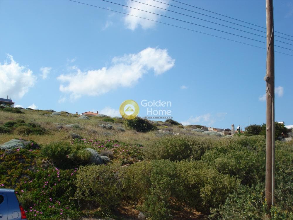 Αγροτεμάχιο στην Μικρολίμανο, Λαύριο — Φωτογραφία 2 από 6