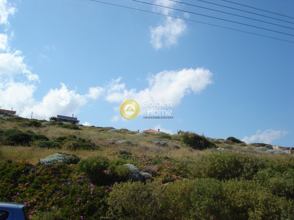 Αγροτεμάχιο στην Μικρολίμανο, Λαύριο — Φωτογραφία 4 από 6