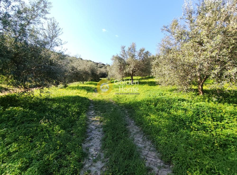 Οικόπεδο στην Σίλαμος, Αρχάνες — Φωτογραφία 16 από 18