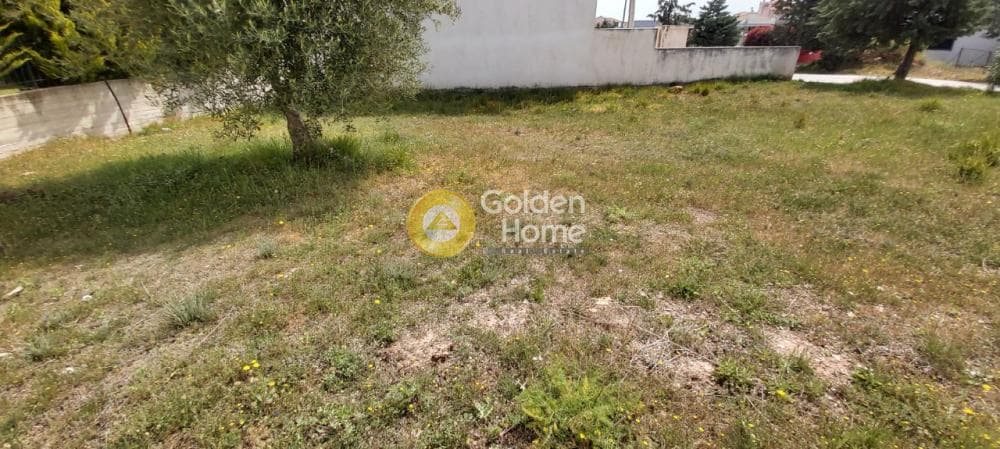 Οικόπεδο στην Μουσείο Βορρέ, Παιανία — Φωτογραφία 7 από 13