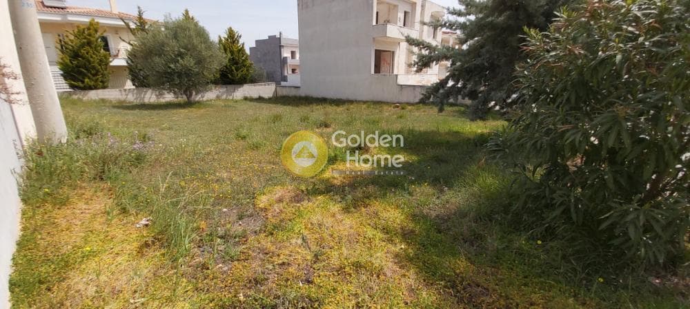 Οικόπεδο στην Μουσείο Βορρέ, Παιανία — Φωτογραφία 8 από 13