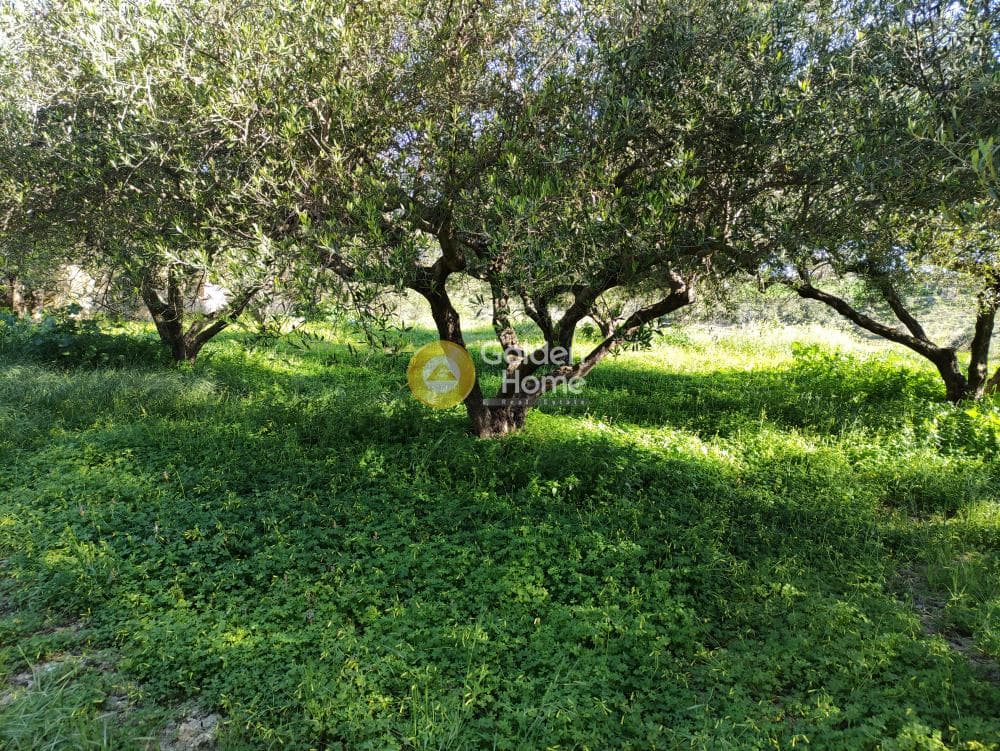 Οικόπεδο στην Σίλαμος, Αρχάνες — Φωτογραφία 4 από 18