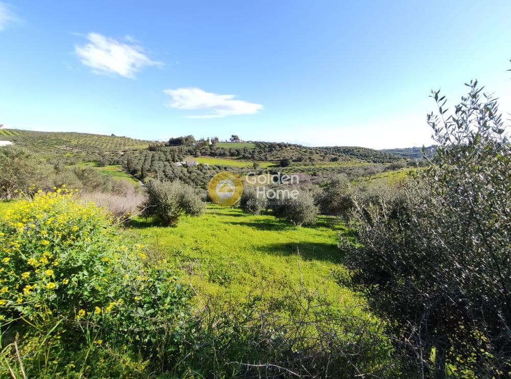Οικόπεδο στην Σίλαμος, Αρχάνες — Φωτογραφία 7 από 18