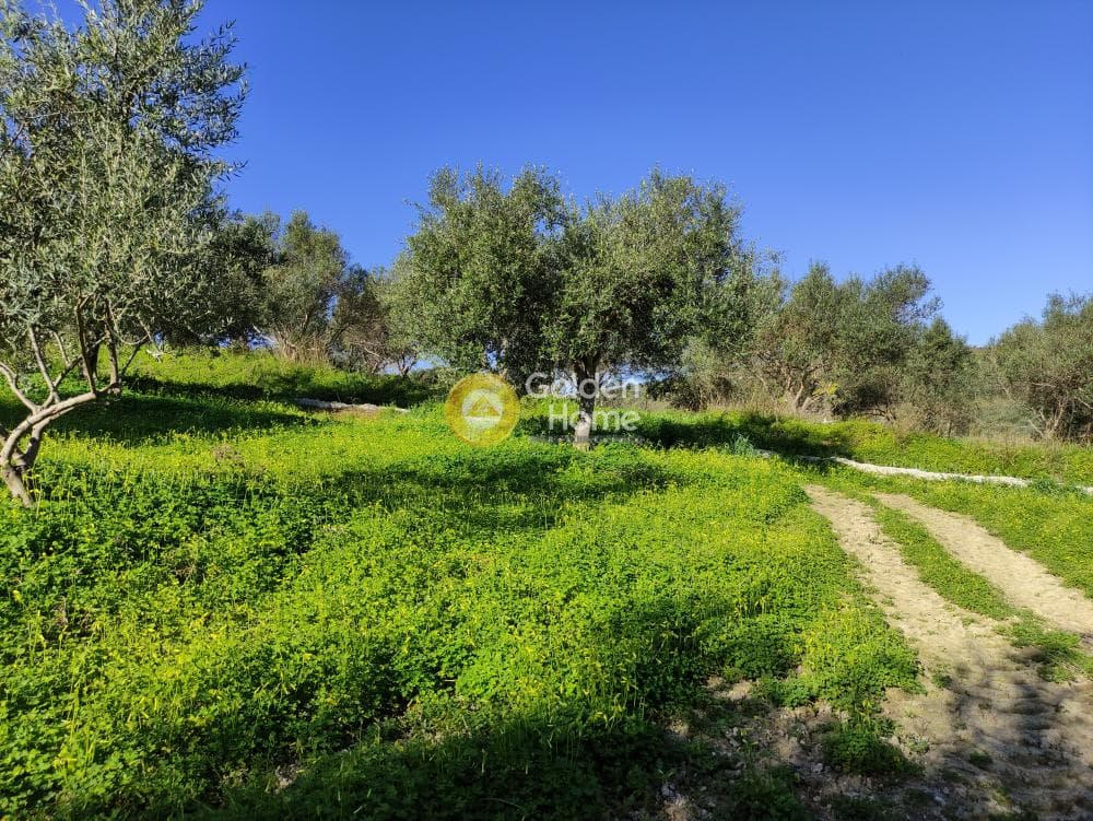 Οικόπεδο στην Σίλαμος, Αρχάνες — Φωτογραφία 17 από 18