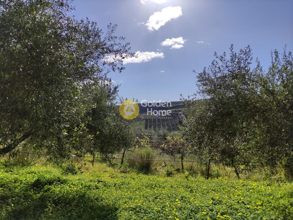 Οικόπεδο στην Σίλαμος, Αρχάνες — Φωτογραφία 3 από 8