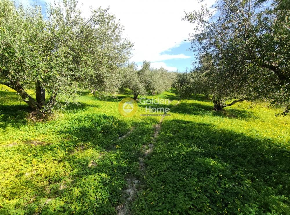 Οικόπεδο στην Σίλαμος, Αρχάνες — Φωτογραφία 4 από 8