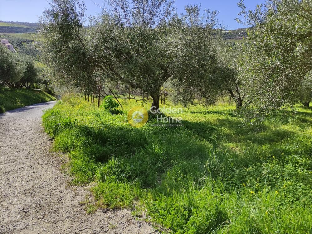 Οικόπεδο στην Σίλαμος, Αρχάνες — Φωτογραφία 8 από 8