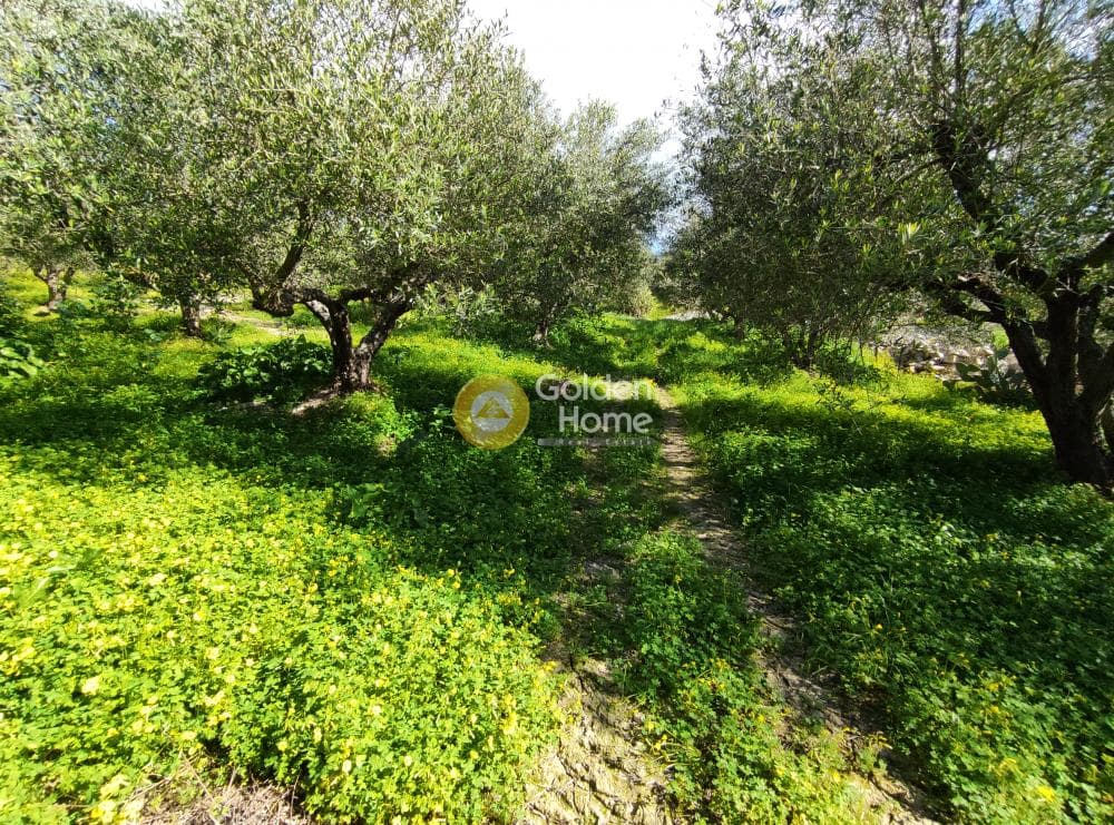 Αγροτεμάχιο στην Σίλαμος, Αρχάνες — Φωτογραφία 1 από 9