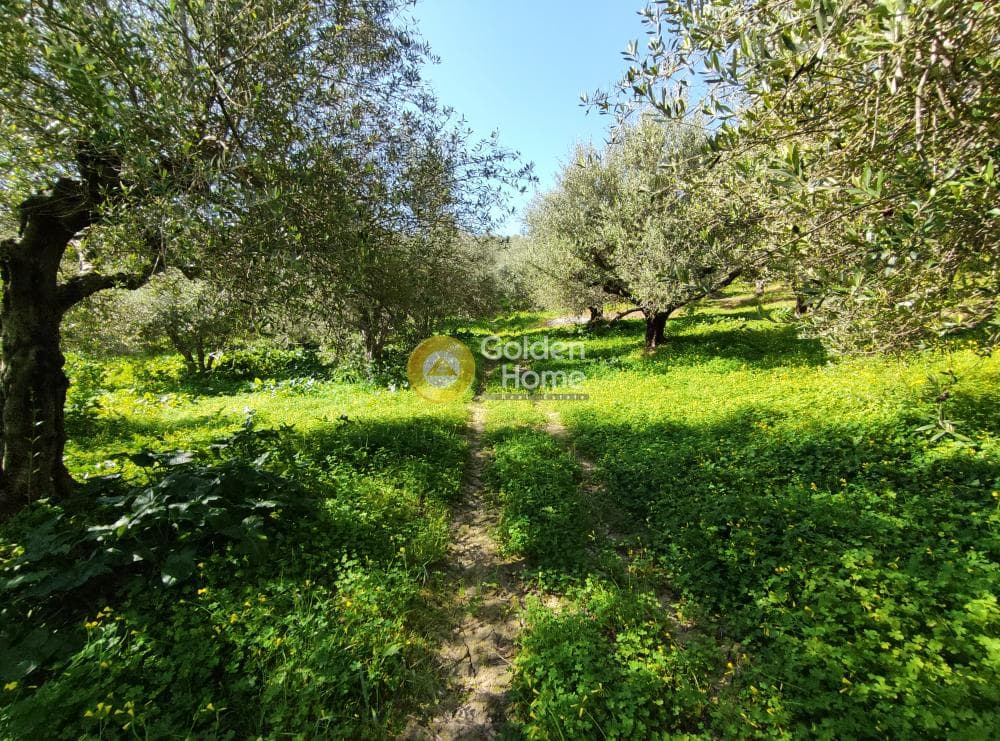 Αγροτεμάχιο στην Σίλαμος, Αρχάνες — Φωτογραφία 2 από 9
