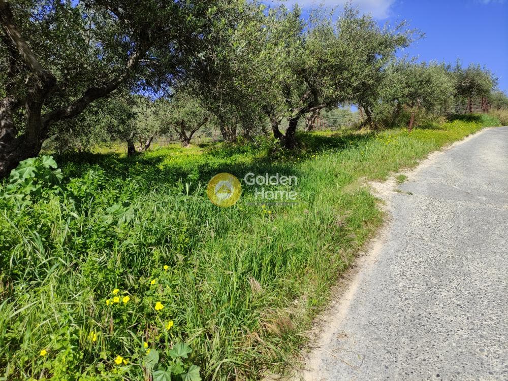 Αγροτεμάχιο στην Σίλαμος, Αρχάνες — Φωτογραφία 8 από 9